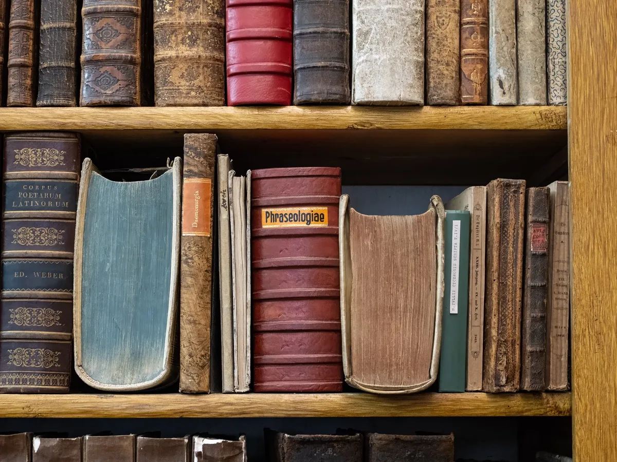 Alte Bücher mit Ledereinband in einem Regal, ein Schild mit der Aufschrift Phrenologie