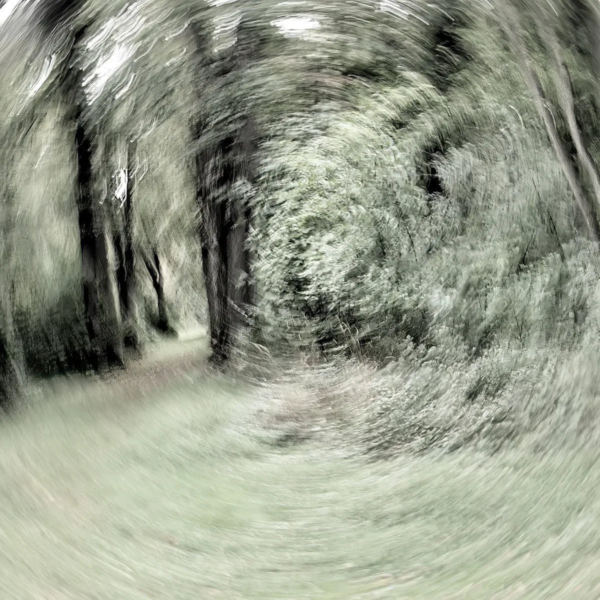 Waldweg in kreisender Wischtechnik